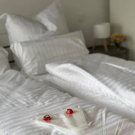 Apartamento Neu In Stilvolles Mit Balkon, Kueche & Parkplatz