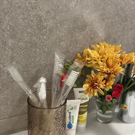 Apartamento Neu In Stilvolles Mit Balkon, Kueche & Parkplatz Dresden