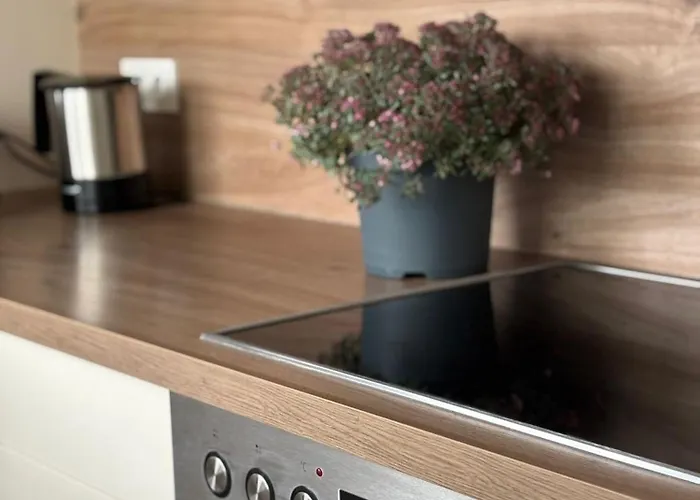 Apartament Neu In Stilvolles Mit Balkon, Kueche & Parkplatz Drezno