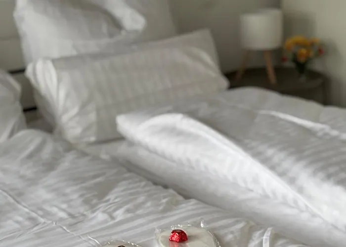 Appartement Neu In Stilvolles Mit Balkon, Kueche & Parkplatz