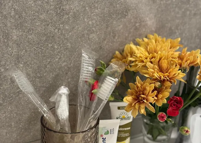 Appartement Neu In Stilvolles Mit Balkon, Kueche & Parkplatz Dresden